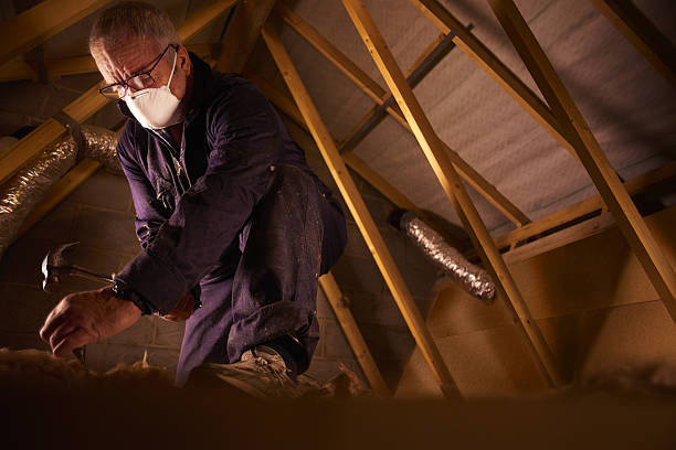 Types of Insulation We Offer in Bloomfield Hills, MI